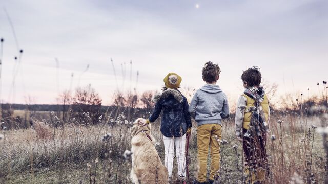 Tre barn og en hund ute på en eng.